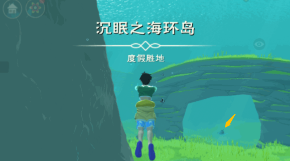 《创造与魔法》全新生物丨捕捉你海底的小帮手_创造与魔法