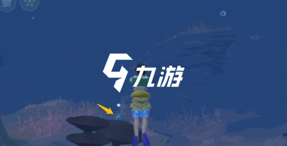 创造与魔法幼紫鲨怎么捕捉 幼紫鲨的捕捉方式_创造与魔法