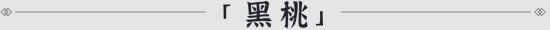 《小浣熊百将传》从入门到精通 新手必看图文教程_小浣熊百将传