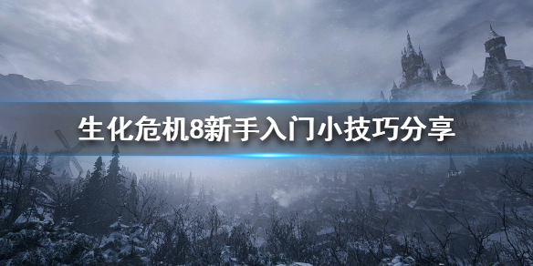 生化危机8游戏刚入手怎么办 生化危机8新手入门小技巧分享