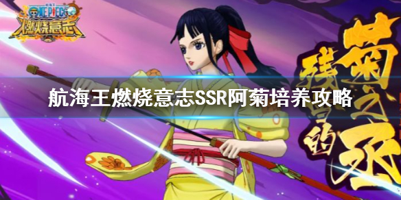 《航海王燃烧意志》SSR阿菊培养图文教程 阿菊攻略大全_航海王燃烧意志