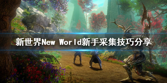 新世界New World新手采集要注意什么 新世界New World新手