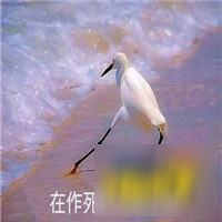 LOL手游射手位该怎么玩 射手玩法技巧分享_英雄联盟手游