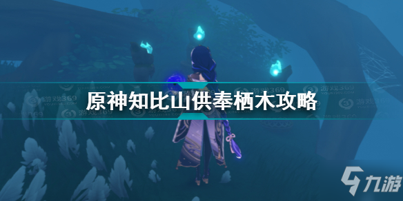 《原神》知比山供奉栖木图文教程 知比山羽毛在哪_原神