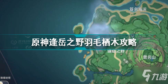 《原神》逢岳之野羽毛栖木图文教程 逢岳之野栖木羽毛位置一览_原神