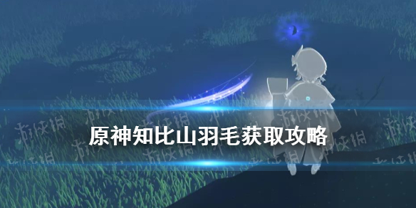 《原神》知比山继电石解密仙灵引导图文教程 知比山羽毛如何获取_原神