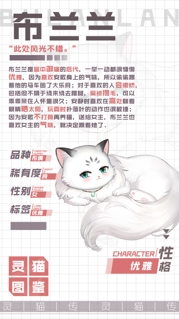 《灵猫传》灵猫图鉴良 优雅布偶-布兰兰_灵猫传