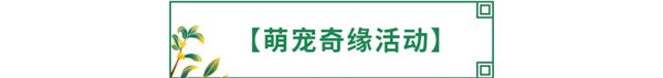 《全民养成之女皇陛下》10月21日更新公告_全民养成之女皇陛下