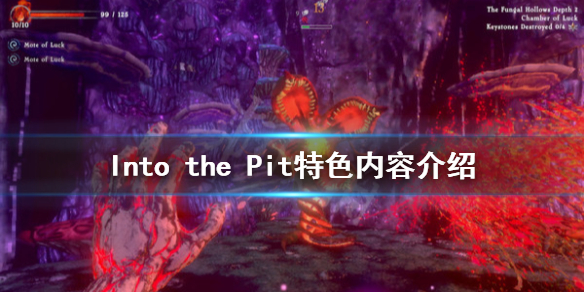 Into the Pit好玩吗 Into the Pit特色内容介绍