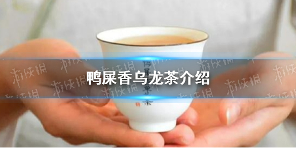 鸭屎香是什么茶 鸭屎香乌龙茶介绍