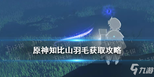 《原神》知比山继电石解密仙灵引导图文教程 知比山羽毛如何获取_原神