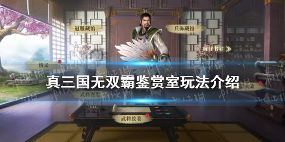 真三国无双霸鉴赏室怎么玩 真三国无双霸鉴赏室玩法介绍