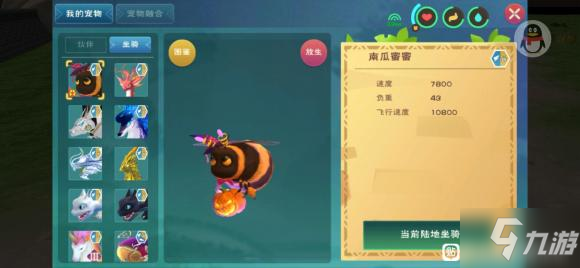 创造与魔法南瓜蜜蜜资质一览_创造与魔法