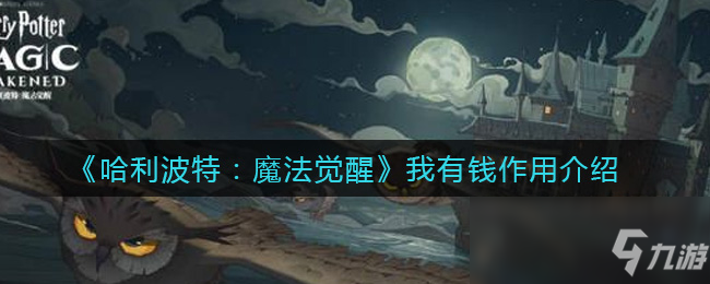 《哈利波特：魔法觉醒》我有钱作用一览_哈利波特魔法觉醒