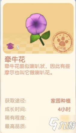 《摩尔庄园手游》牵牛花用法介绍 牵牛花作用是什么_摩尔庄园手游