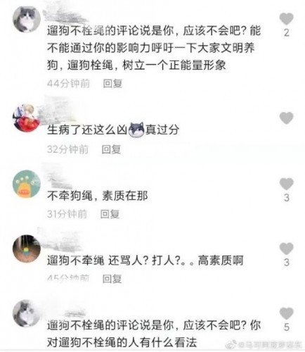 就是你遛狗不牵绳还打人？知名女主播被误认遭网暴，本人无奈澄清：真不是我！