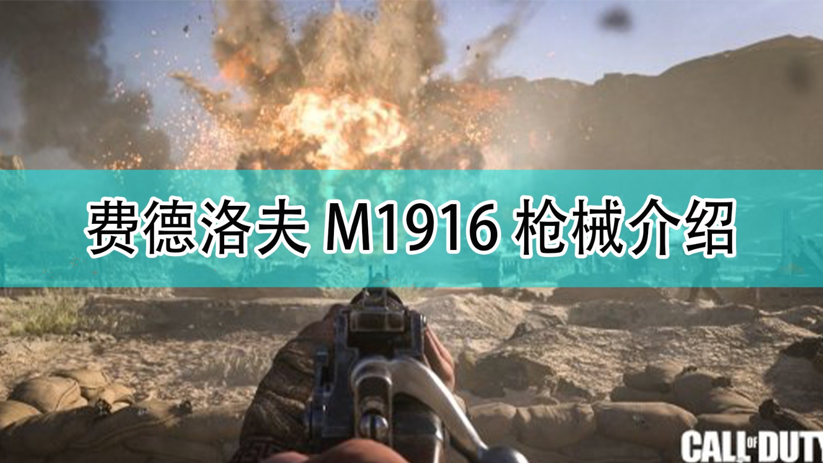 使命召唤18先锋费德洛夫M1916是什么枪_费德洛夫M1916枪支介绍