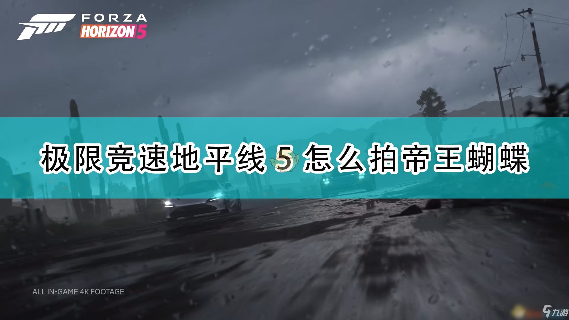 《极限竞速：地平线5》拍帝王蝴蝶攻略大全_极限竞速地平线5