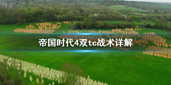 帝国时代4双tc战术好用吗 帝国时代4双tc战术详解