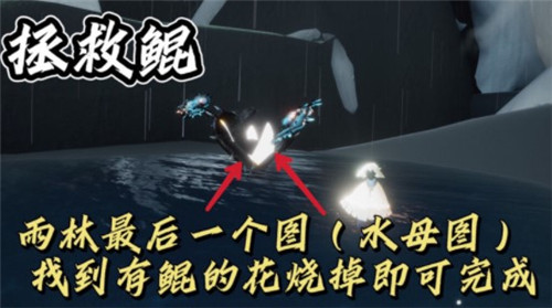 光遇11.11每日任务完成攻略2021