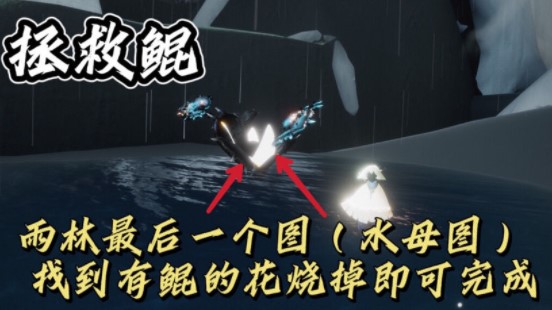 光遇11.12每日任务完成攻略2021