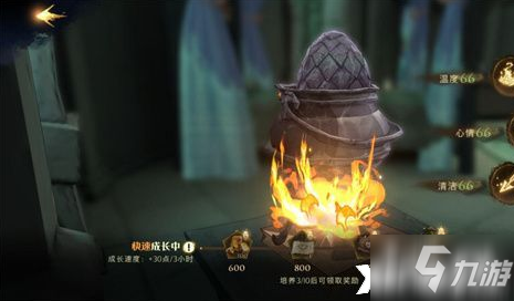 《哈利波特：魔法觉醒》龙蛋养成图文教程_哈利波特魔法觉醒