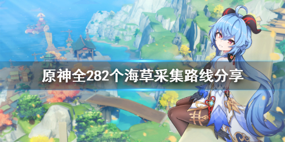 原神海草哪里多 原神全282个海草采集路线分享