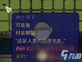 《泰拉瑞亚》胡子怎么获得分享_泰拉瑞亚手游