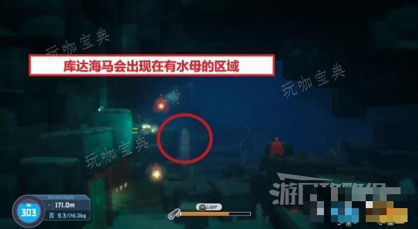 《潜水员戴夫》全海马出现位置及捕捉方法 海马怎么抓？