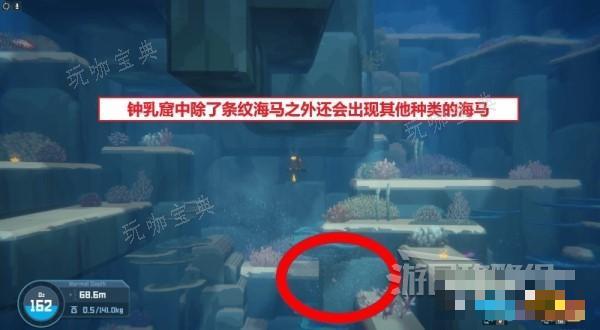 《潜水员戴夫》全海马出现位置及捕捉方法 海马怎么抓？