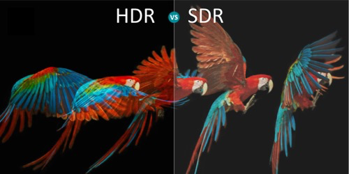 看懂HDR电视的真假，避免后悔购买