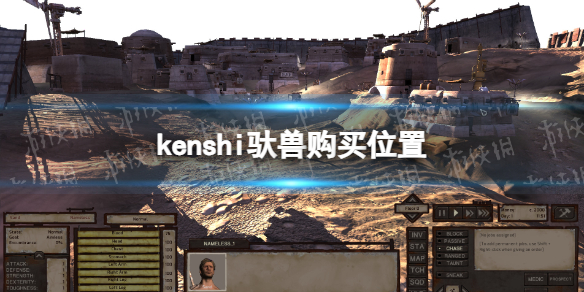 kenshi驮兽在哪买-剑士kenshi驮兽购买位置