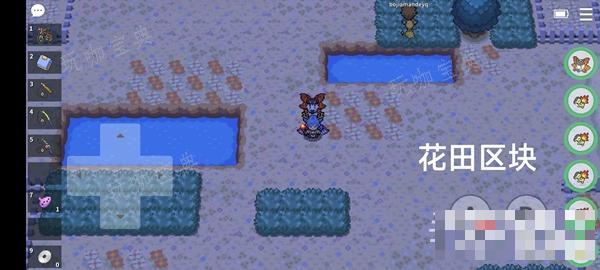 《Pokemmo》成都地区狩猎地带宝可梦位置