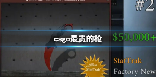 《csgo》最贵的枪一览